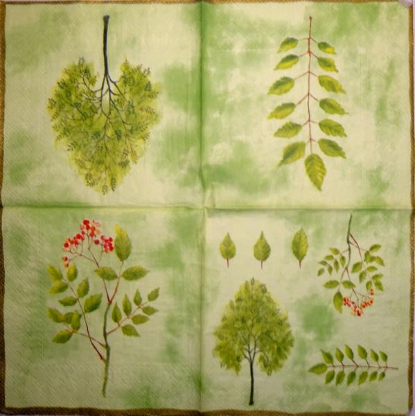 139 Plants - 3-ply (yellow) - Ihr